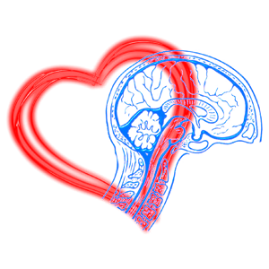 Corazon-y-cerebro